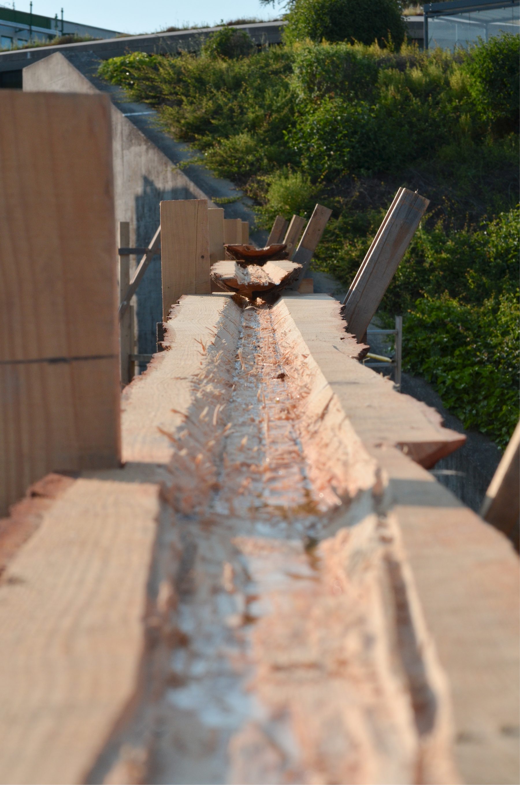 Splash 3